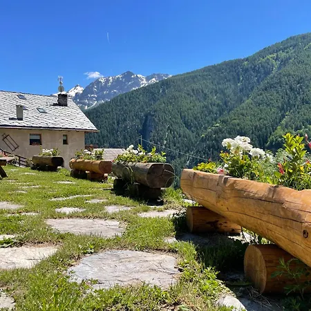 Il Ramo Del Gufo - La Maison *