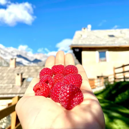 Il Ramo Del Gufo - La Maison Daire Bardonecchia