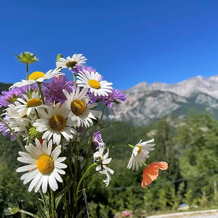 Daire Il Ramo Del Gufo - La Maison