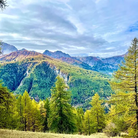 Il Ramo Del Gufo - La Maison Bardonecchia