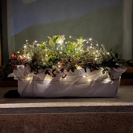 Il Ramo Del Gufo - La Maison * バルドネッキア