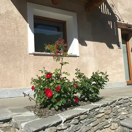 Il Ramo Del Gufo - La Maison