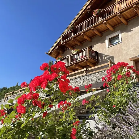 Appartement Il Ramo Del Gufo - La Maison