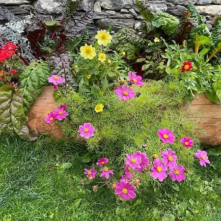 Il Ramo Del Gufo - La Maison バルドネッキア