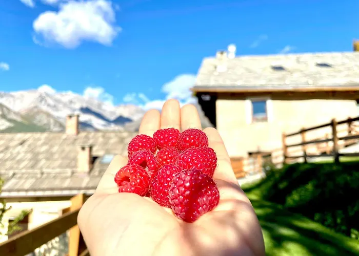 Il Ramo Del Gufo - La Maison Apartmán Bardonecchia