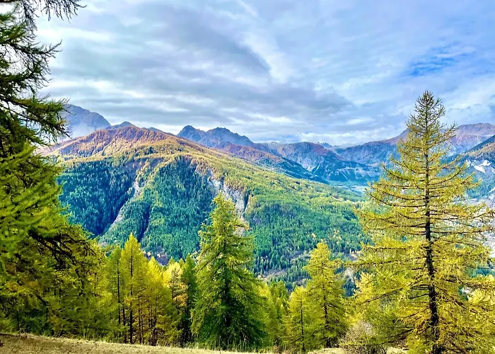 Il Ramo Del Gufo - La Maison Bardonecchia